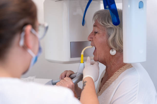 Best Emergency X-Rays and Diagnostics in Lynwood, IL
